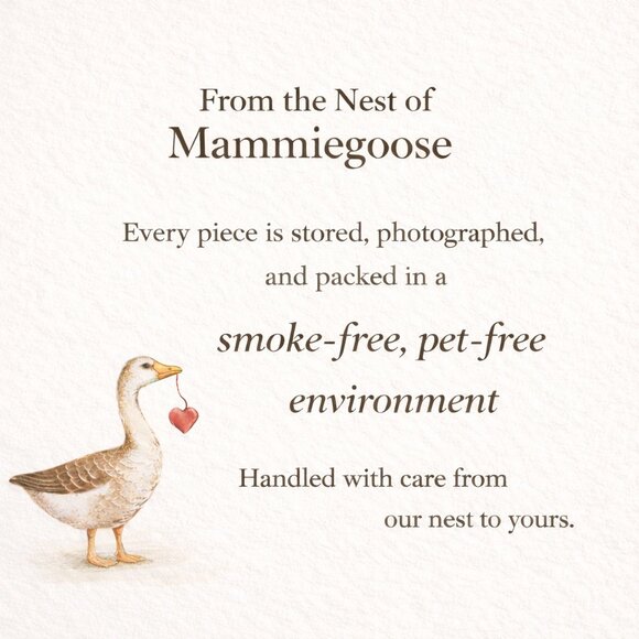 Cottagecore Eyelet Babydoll Top Floral Peasant Blouse American Eagle S - Picture 16 of 16